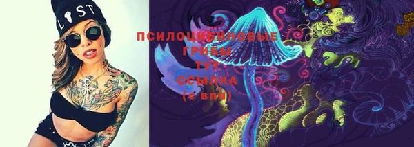 бошки Дмитров