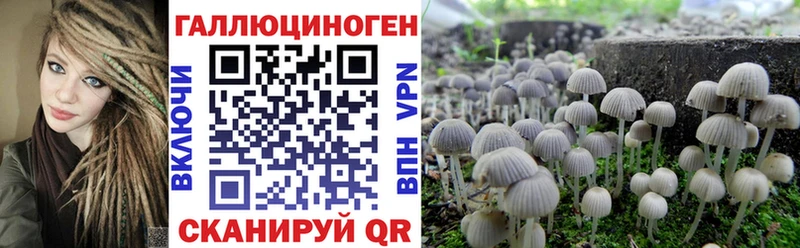 Псилоцибиновые грибы мицелий  kraken как зайти  Вяземский 